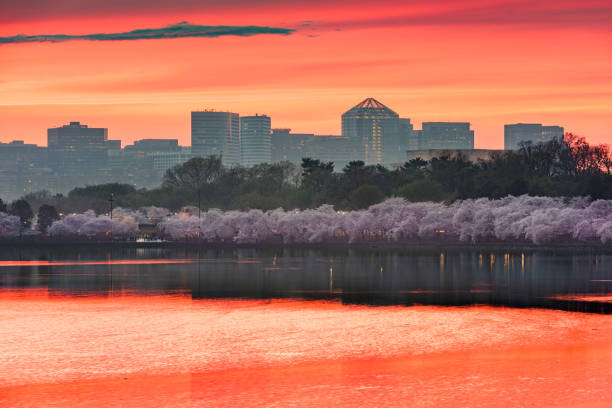 istock Washington DC, USA Skyline on the River 1203403561