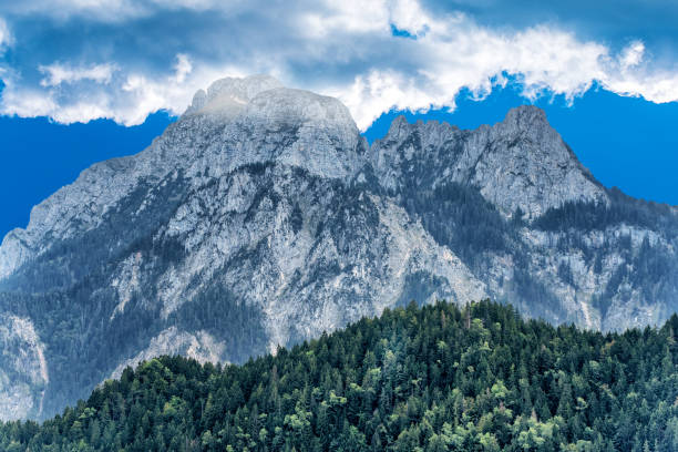 istock View of high mountains wth green forest. 1203403731