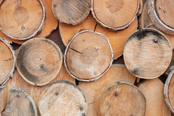 istock wall surface of chopped wood logs 1203403791
