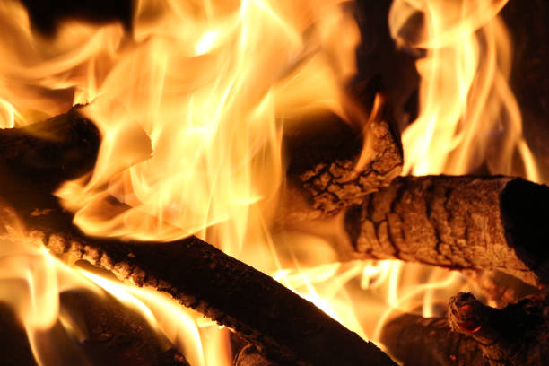 istock Close up view of bonfire in camp 1203411305