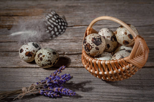 Quail eggs on a wooden background in a basket, easter composition with dry lavender