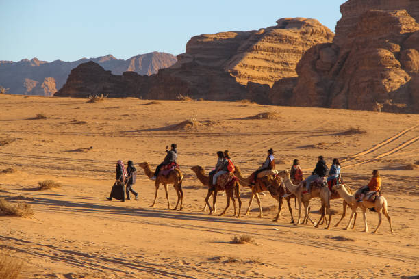 karawana wielbłąda przechodzi przez pustynię wadi rum w jordanii - jordan camel wadi rum arabia zdjęcia i obrazy z banku zdjęć