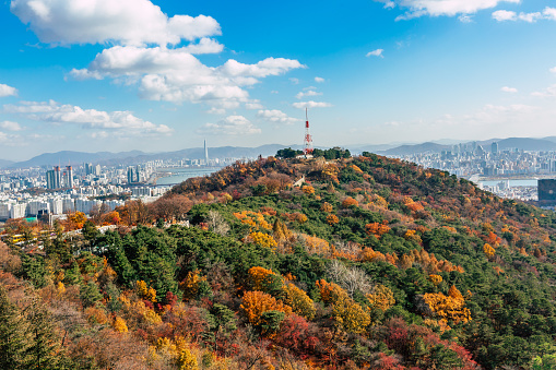 This image shows autumn landscape in seoul city, south korea, The image shows aerial view of  colorful maple  trees and namsan mountain with beautiful clouds in back. The image is taken in november 2019 in seoul.