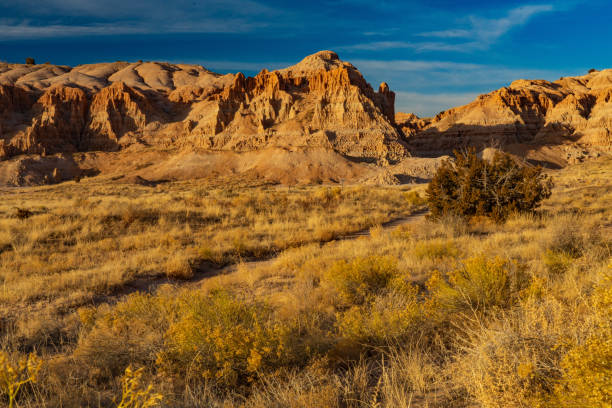 istock Cliffs of Cathedral Gorge Along the Miller Point Trail 1203416244