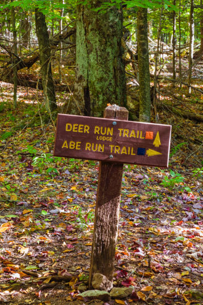 istock Trail Sign, Autumn, Canaan Valley State Park, West Virginia 1203418366