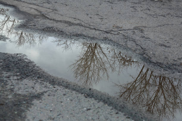 istock Puddle on the pavement with a reflection of a tree 1203420496