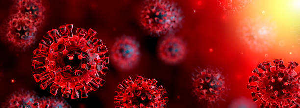 corona virus im roten hintergrund - mikrobiologie und virologie konzept - 3d rendering - krankheitserreger stock-fotos und bilder
