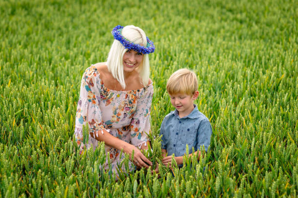 istock A blond woman with a son in a cereal field. 1203427475
