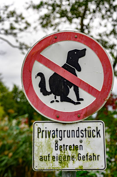 istock Information sign, dogs are not allowed to shit here. 1203428454