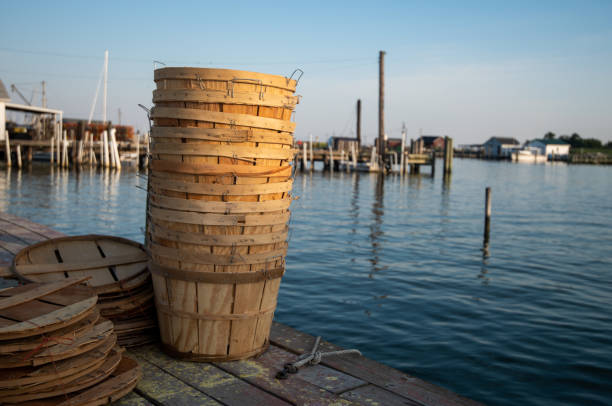 Bushel baskets for Maryland blue crabs