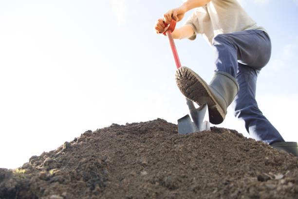 digging man digging the ground with shovel burying stock pictures, royalty-free photos & images