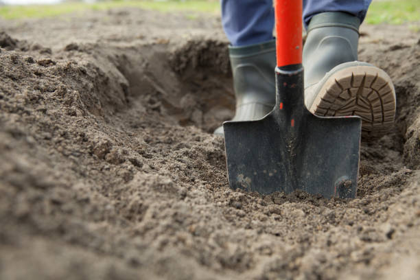 shovel - burying ground imagens e fotografias de stock