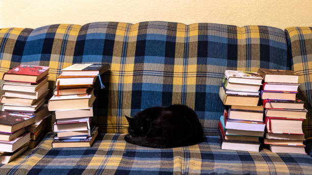 A funny black cat dressed as a teacher holding a book in front of a chalk board.