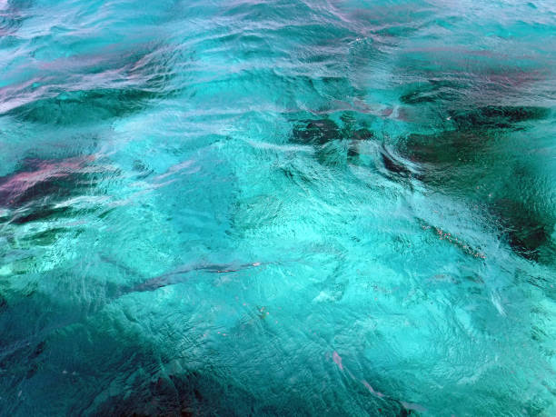 istock In the waters of Cuba 1203435232