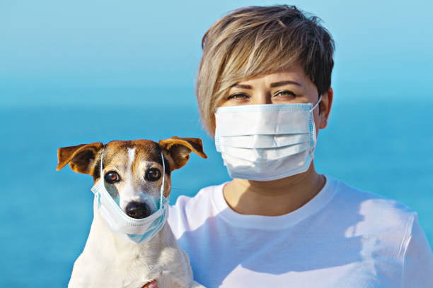 chinese coronavirus 2019-ncov dangerous for pets - yan imagens e fotografias de stock
