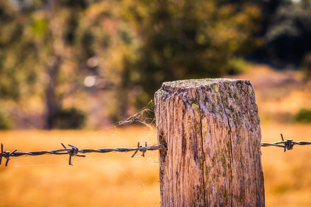 istock Country Landscape 1203438316