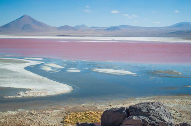 istock Red lagoon view Bolivia travel view 1203438390