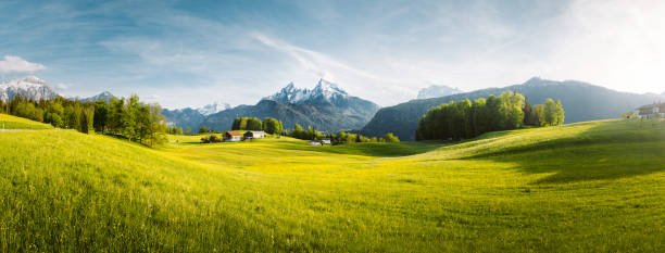 봄에 피는 초원과 알프스의 목가적 인 풍경 - european alps mountain house bavaria 뉴스 사진 이미지