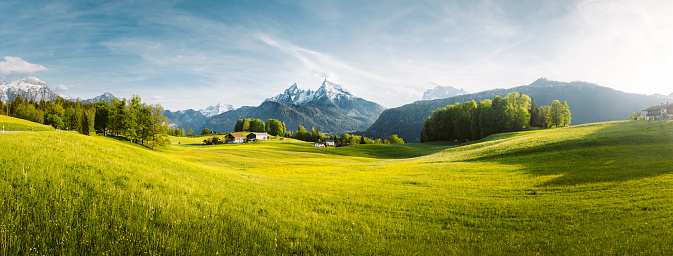 Beautiful view of idyllic alpine mountain scenery with blooming meadows and snowcapped mountain peaks on a beautiful sunny day with blue sky in springtime