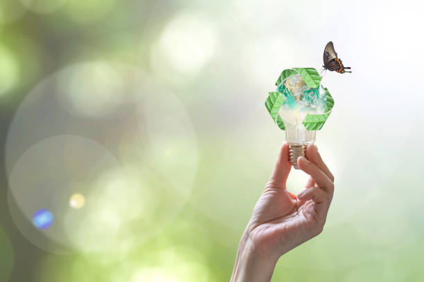 ekologia, oszczędność energii, odnawialne, gospodarka odpadami i koncepcja zrównoważonego rozwoju z żarówką z recyklingiem pozostawia symbol ochrony środowiska w rękach - light bulb led evolution development zdjęcia i obrazy z banku zdjęć