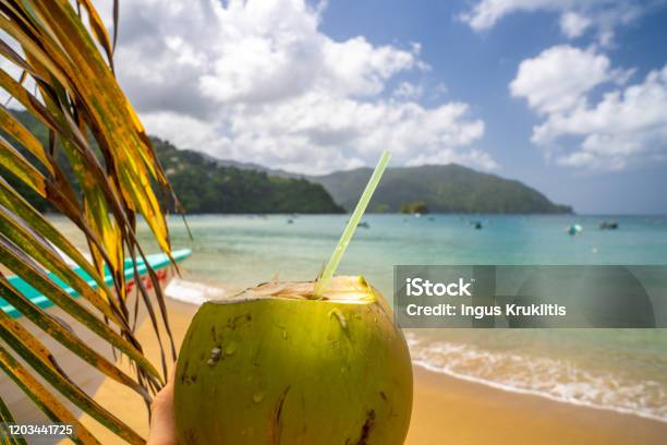 Coconut Drink On Sand Beach Summer Vacation On Beach Stock Photo - Download Image Now