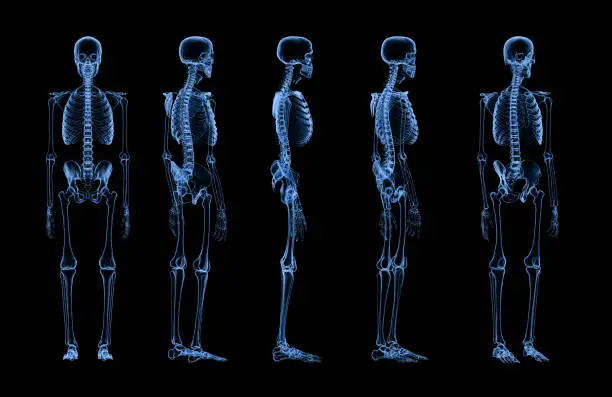 3d rendering set of human skeleton x-ray isolated on black background