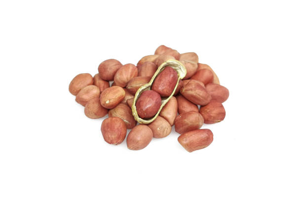 istock Pile peanut seeds isolated on white background. Closeup peanut in open shell 1203447462