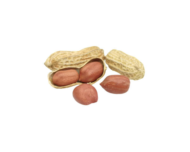 istock Peanuts in the shell isolated on white background. Dried peanuts for snack in closeup 1203447517