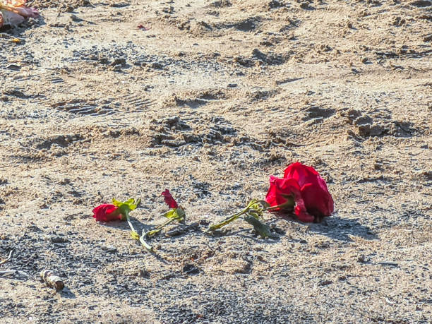 istock Two red roses lying in the sand of a beach 1203449625