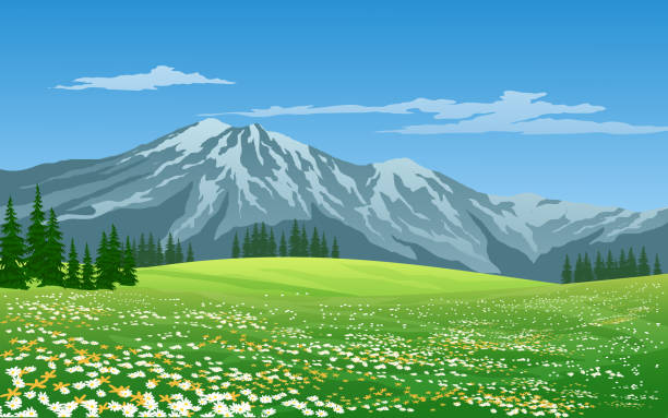 ośnieżone góry i łąka - snow capped mountain peaks stock illustrations