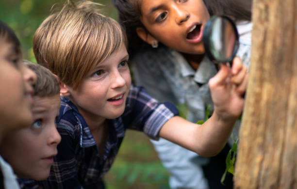 istock Multi-Ethnic Youth Looking at Bugs on a Tree Stump stock photo 1203460146
