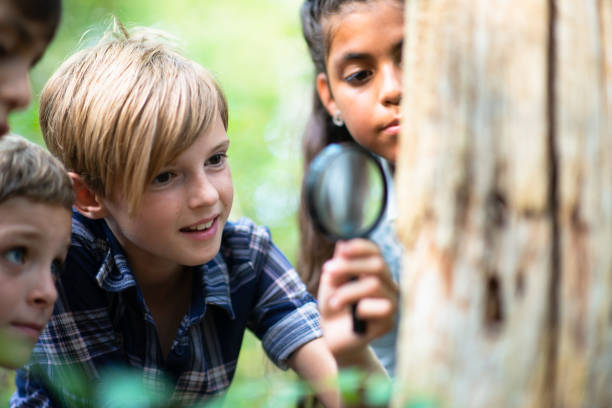 istock Multi-Ethnic Youth Looking at Bugs on a Tree Stump stock photo 1203460156