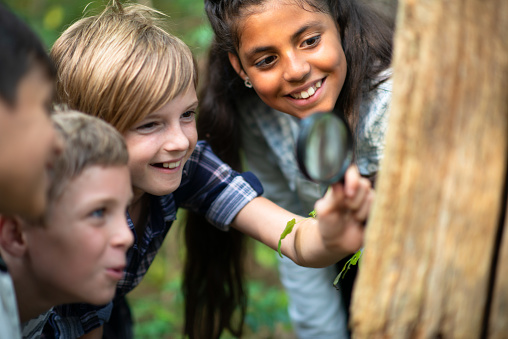 A group of multi-ethnic youth stop to examine a tree stump while on a hike through the woods.  The blond girl in the middle of the group has a magnifying glass in her hands that she is holding up to the stump, as they all examine the bugs crawling on it.  Each youth is dressed casually in fall clothing and smiling as they discover nature around them.