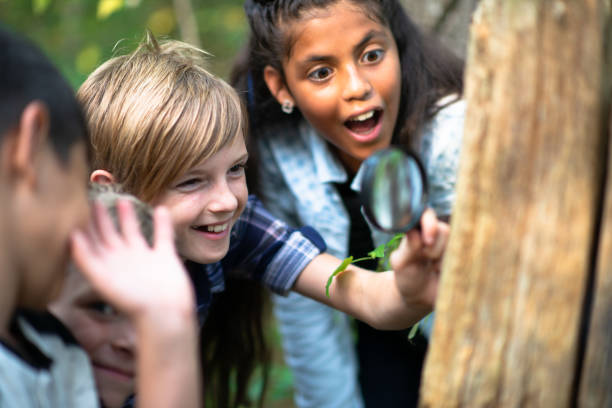 istock Multi-Ethnic Youth Looking at Bugs on a Tree Stump stock photo 1203460198