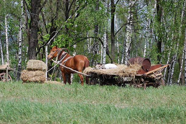 istock horse cart 120346693