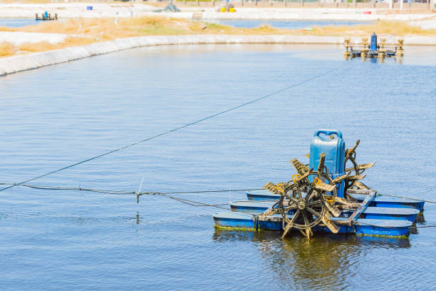 aerator floating on shrimp farming pond