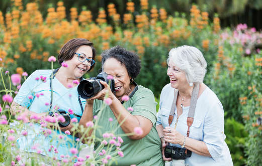 A group of three multi-ethnic senior women in their 60s taking photos together of the beautiful flowers in a garden. They are retirees pursuing a hobby, in a photography club, or taking a class. The African-American woman in the middle is photographing some purple flowers while her friends watch.