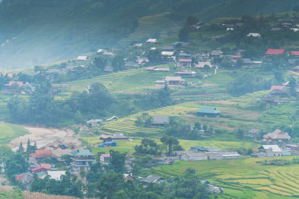 istock Rice fields prepare the harvest at Northwest Vietnam 1203479128