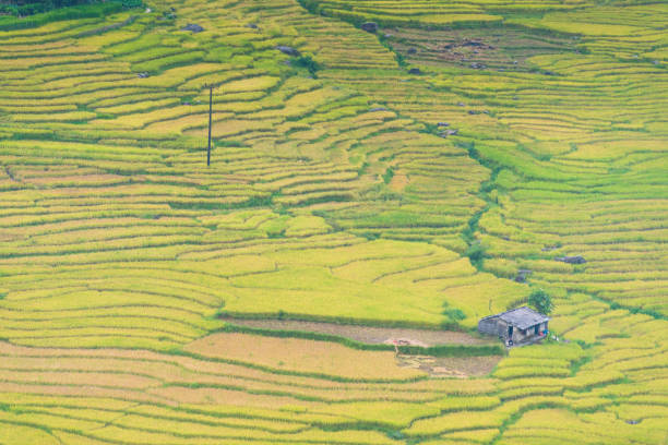 Countryside of Nepal