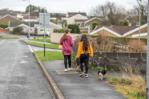 istock Two girls with pet dogs on leash 1203480942