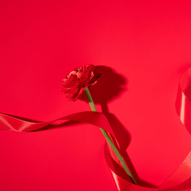 Colorful red flower on red background. Top view, flat lay