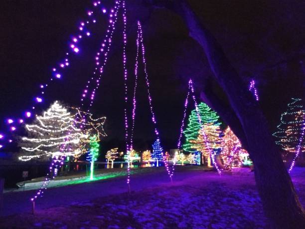 istock Christmas lights on trees at night in a park with reflection on lake with a bridge 1203482121