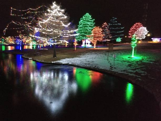 istock Christmas lights on trees at night in a park with reflection on lake with a bridge 1203482128