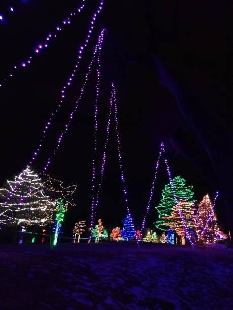 istock Christmas lights on trees at night in a park with reflection on lake with a bridge 1203482138