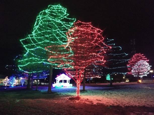 istock Christmas lights on trees at night in a park with reflection on lake with a bridge 1203482139
