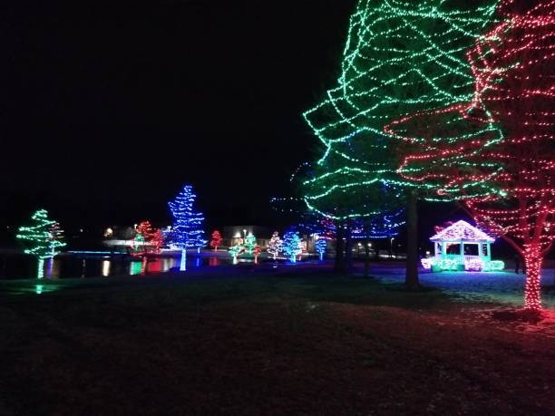 istock Christmas lights on trees at night in a park with reflection on lake with a bridge 1203482141