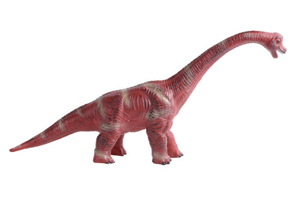 istock Dinosaur toy isolated on white background, Miniature dinosaur model 1203485557