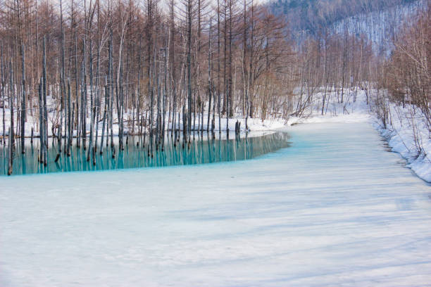 istock Lake in early spring in Biei 1203486762