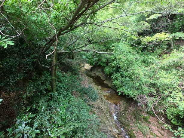 istock the waterfall in Kobe, Japan 1203487743