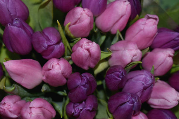 istock A bouquet of flowers called tulips. 1203492910